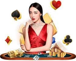Tampilan dashboard multi-dealer dengan statistik olahraga